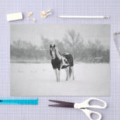 Foto van Horse Black en White Snow Tissuepapier (Craft)