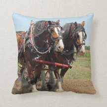 Foto van Horse Clydesdale Farming