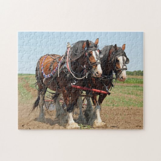 Foto van Horse Clydesdale Farming Legpuzzel (Horizontaal)