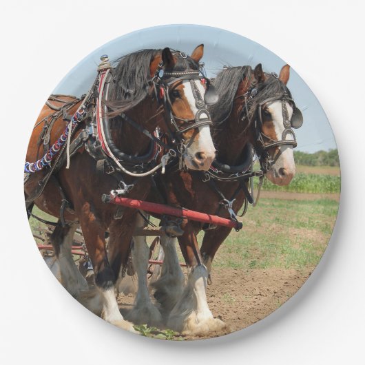 Foto van Horse Clydesdale Farming Papieren Bordje (Voorkant)