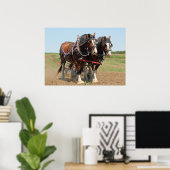 Foto van Horse Clydesdale Farming Poster (Thuiskantoor)