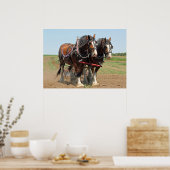 Foto van Horse Clydesdale Farming Poster (Keuken)