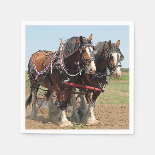 Foto van Horse Clydesdale Farming Servet (Voorkant)