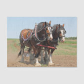 Foto van Horse Clydesdale Farming Tissuepapier (Voorkant)