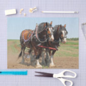 Foto van Horse Clydesdale Farming Tissuepapier (Craft)