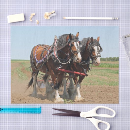 Foto van Horse Clydesdale Farming Tissuepapier (Craft)