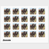 Foto van Horse Clydesdale Farming Vierkante Sticker (Vel)