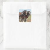 Foto van Horse Clydesdale Farming Vierkante Sticker (Tas)