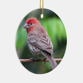 Foto van House finch Keramisch Ornament (Rechts)