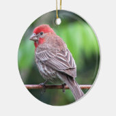 Foto van House finch Keramisch Ornament (Links)