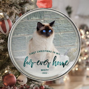 Foto van huisdier Eerste kerstmis Thuis Teal Groen Metalen Ornament