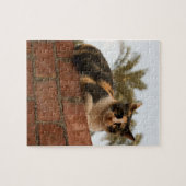 Foto van huisdieren puzzel (Horizontaal)