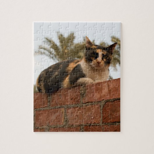 Foto van huisdieren puzzel (Verticaal)