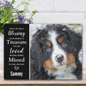 Foto van huisdierhond-herinneringssouvenir fotoplaat