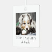 Foto van huisdierhond met Kerstmis Metalen Ornament (Voorkant links)