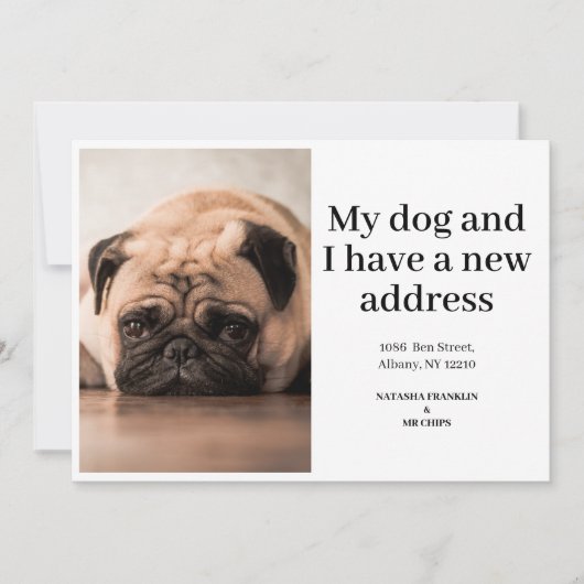 Foto van huisdierhond Nieuwe adres We zijn verhuis (Voorkant)