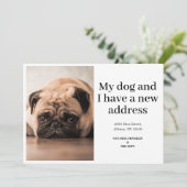 Foto van huisdierhond Nieuwe adres We zijn verhuis (Staand voorkant)