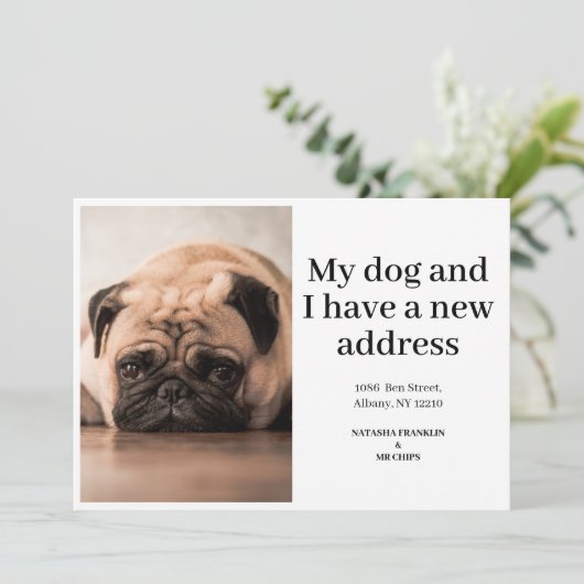 Foto van huisdierhond Nieuwe adres We zijn verhuis (Staand voorkant)