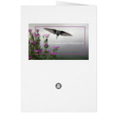 Foto van Hummingbird (Achterkant)