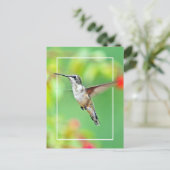 Foto van Hummingbird Briefkaart (Staand voorkant)