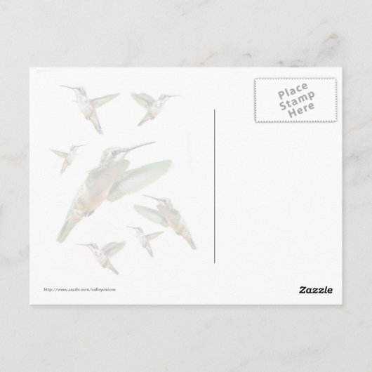 Foto van Hummingbird Briefkaart (Achterkant)