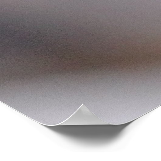 Foto van Hummingbird Flying Poster (Hoek)