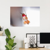 Foto van Hummingbird Flying Poster (Thuiskantoor)