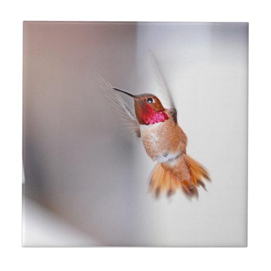 Foto van Hummingbird Flying Tegeltje (Voorkant)