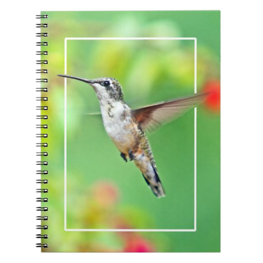 Foto van Hummingbird Notitieboek (Voorkant)