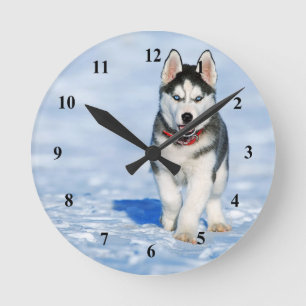 Foto van Husky Puppy Ronde Klok
