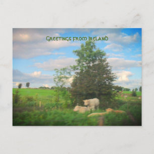 Foto van Ierland Briefkaart