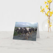 Foto van Ierland Kaart (Gele Bloem)