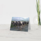 Foto van Ierland Kaart (Voorkant)