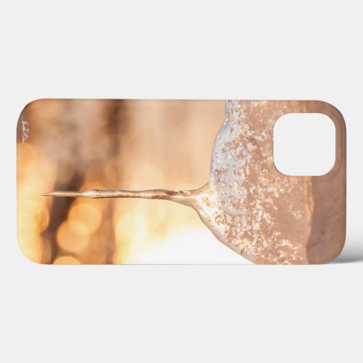 foto van ijs Case-Mate iPhone case (Achterkant (horizontaal))