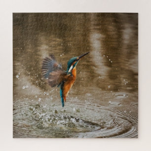 Foto van ijsvogel die uit het water komt legpuzzel