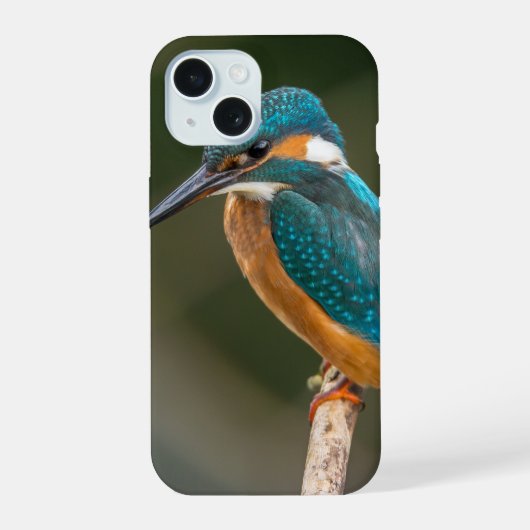 Foto van ijsvogelprofiel iPhone 15 case (Achterkant)