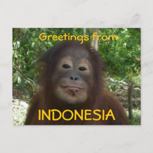 Foto van INDONESIA Briefkaart