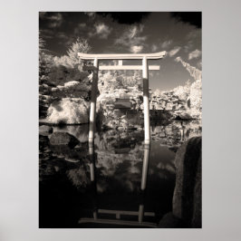 Foto van infraroodtuin poster