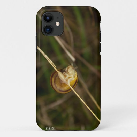 foto van insect in een schelp op gras Case-Mate iPhone case (Achterkant)