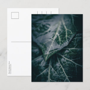 Foto van Ivy Floral Natuur Briefkaart