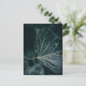 Foto van Ivy Leaf Natuur Briefkaart (Staand voorkant)