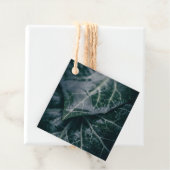 Foto van Ivy Leaves Natuur Bedankjes Labels (In situ)