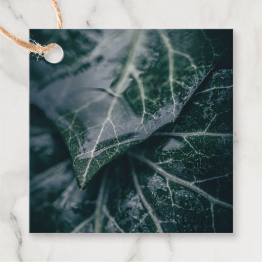 Foto van Ivy Leaves Natuur Bedankjes Labels (Voorkant)
