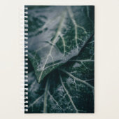 Foto van Ivy Leaves Natuur Planner (Voorkant)