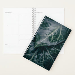 Foto van Ivy Leaves Natuur Planner