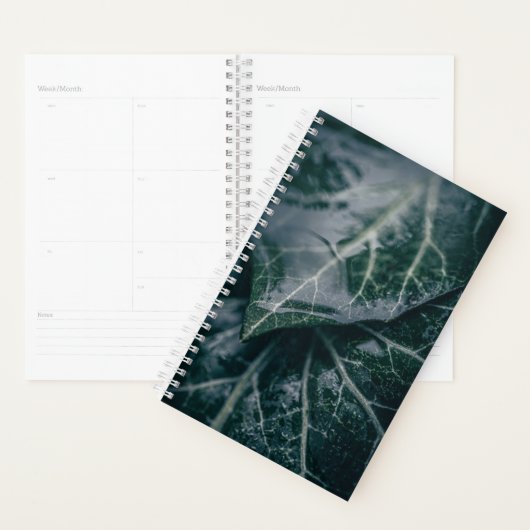 Foto van Ivy Leaves Natuur Planner (Display)