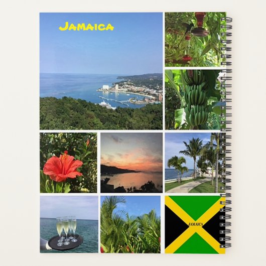 Foto van Jamaica Planner (Achterkant)