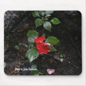 Foto van John Tammaro Muismat (Voorkant)