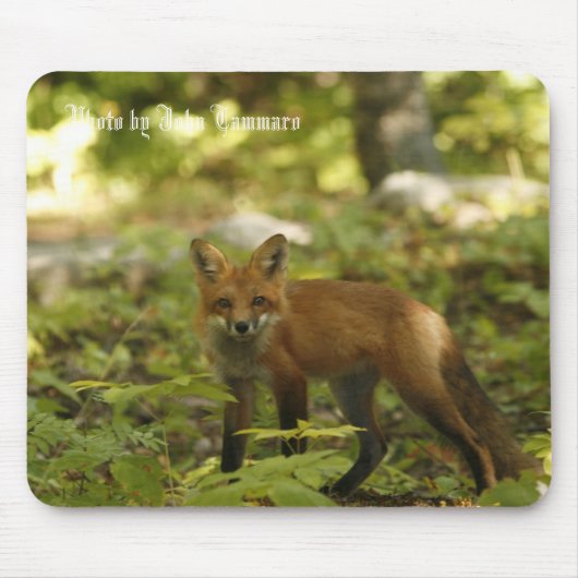 Foto van John Tammaro Muismat (Voorkant)