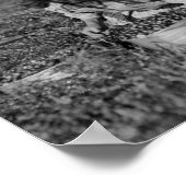 Foto van jonge meisjes die kruidenbessen poster (Hoek)